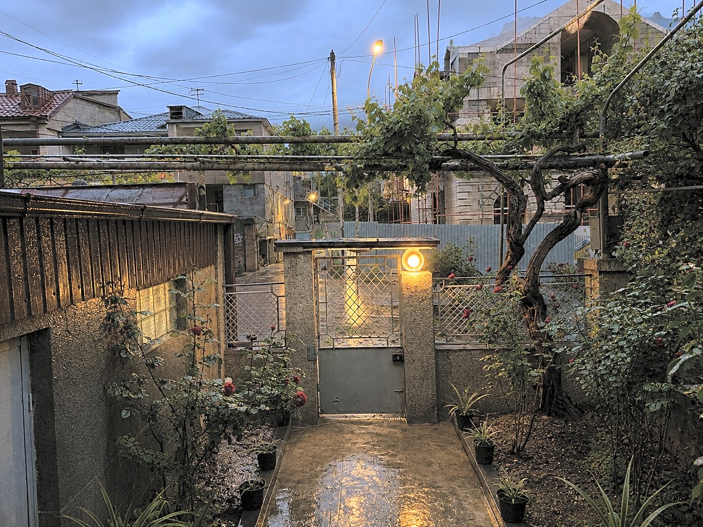 The courtyard at blue hour — lantern light on wet stone under the vine trellis